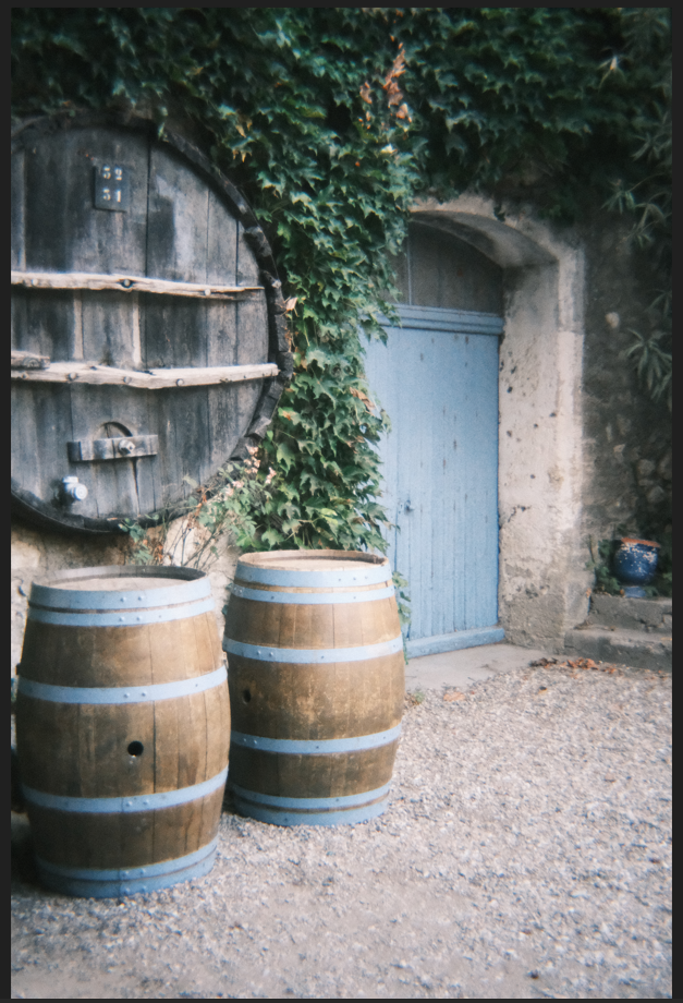 Shot on Fokale - 15