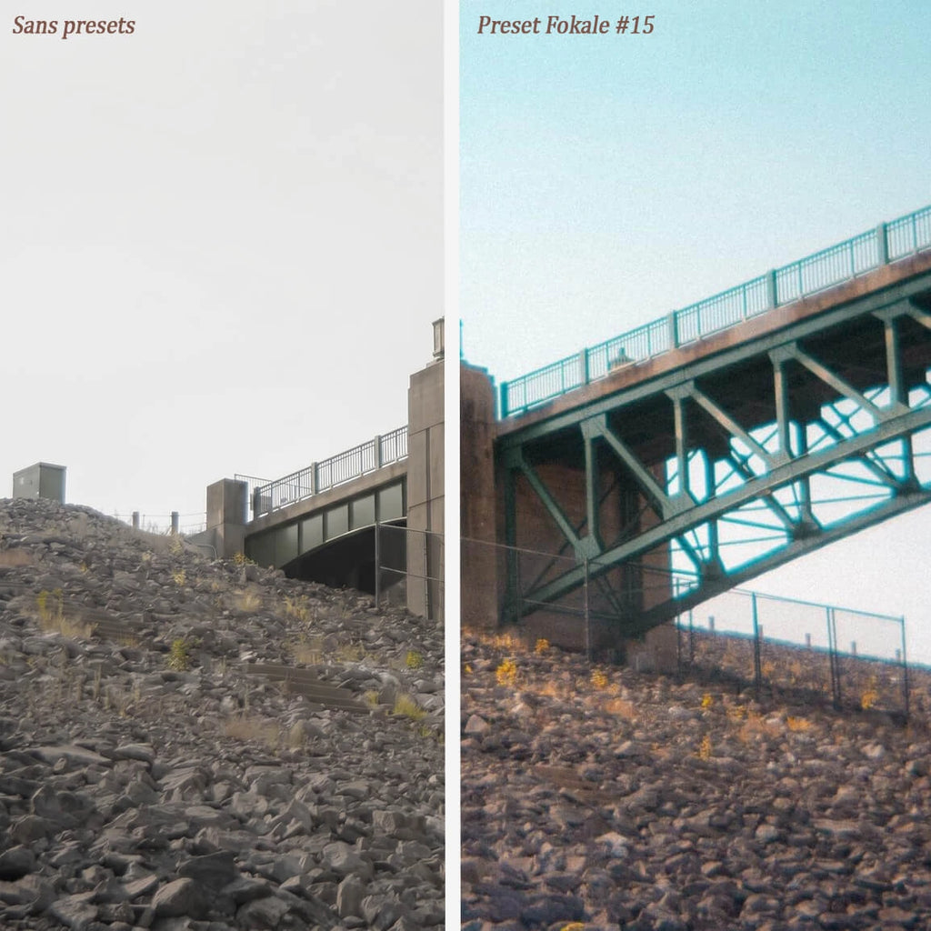 Timeless - Pack presets Retro Fokale