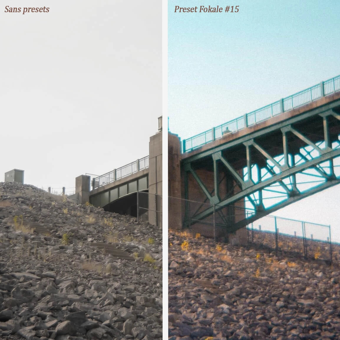 Timeless - Pack presets Retro Fokale