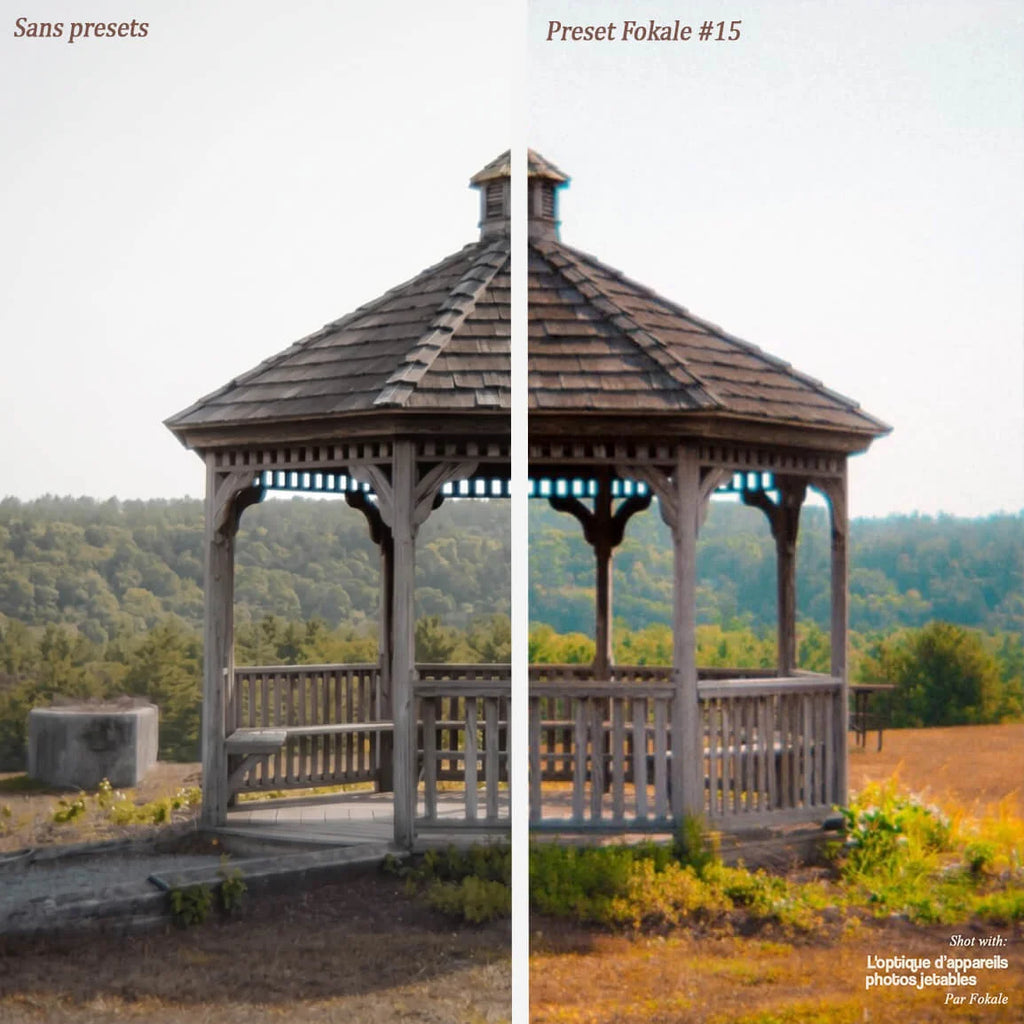 Timeless - Pack presets Retro Fokale